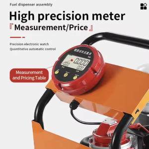 Cavitt Electric Portable Fuel Pump 12V24V Diesel Oil Fuel Pump Set Elliptical Gear Meter And Self-Sealing Gun
